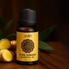 Ginger Essential Oil for Belly Fat Drainage & Hair Growth – 100% Natural Detox Formula (30ml)